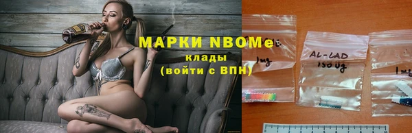 молекула духа Алзамай