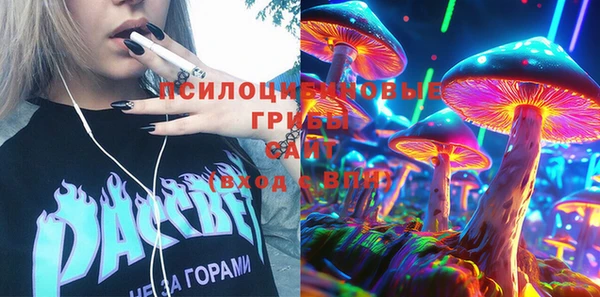 молекула духа Алзамай
