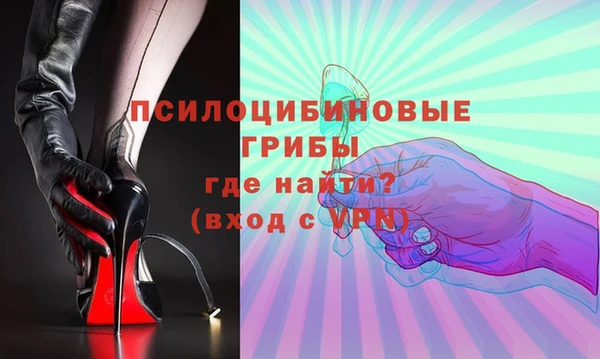 молекула духа Алзамай